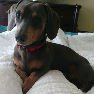 Meet your Posher, Jim